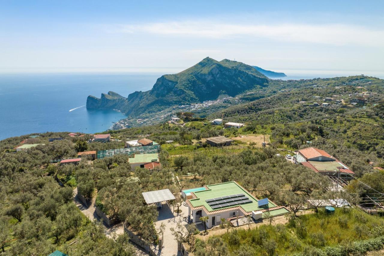 Villa Rusinella Minimalist Retreat With Sea Views Massa Lubrense Extérieur photo